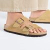 Arizona de ante
