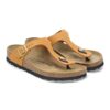 Cuero nubuck Gizeh