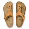 Gizeh Big Buckle de piel nobuk