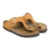 Gizeh Big Buckle de piel nobuk