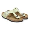 Gizeh Big Buckle de piel nobuk
