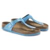 Gizeh Birko-Flor Patent