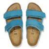Piel de ante nubuck Uji