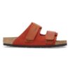 Piel de ante nubuck Uji